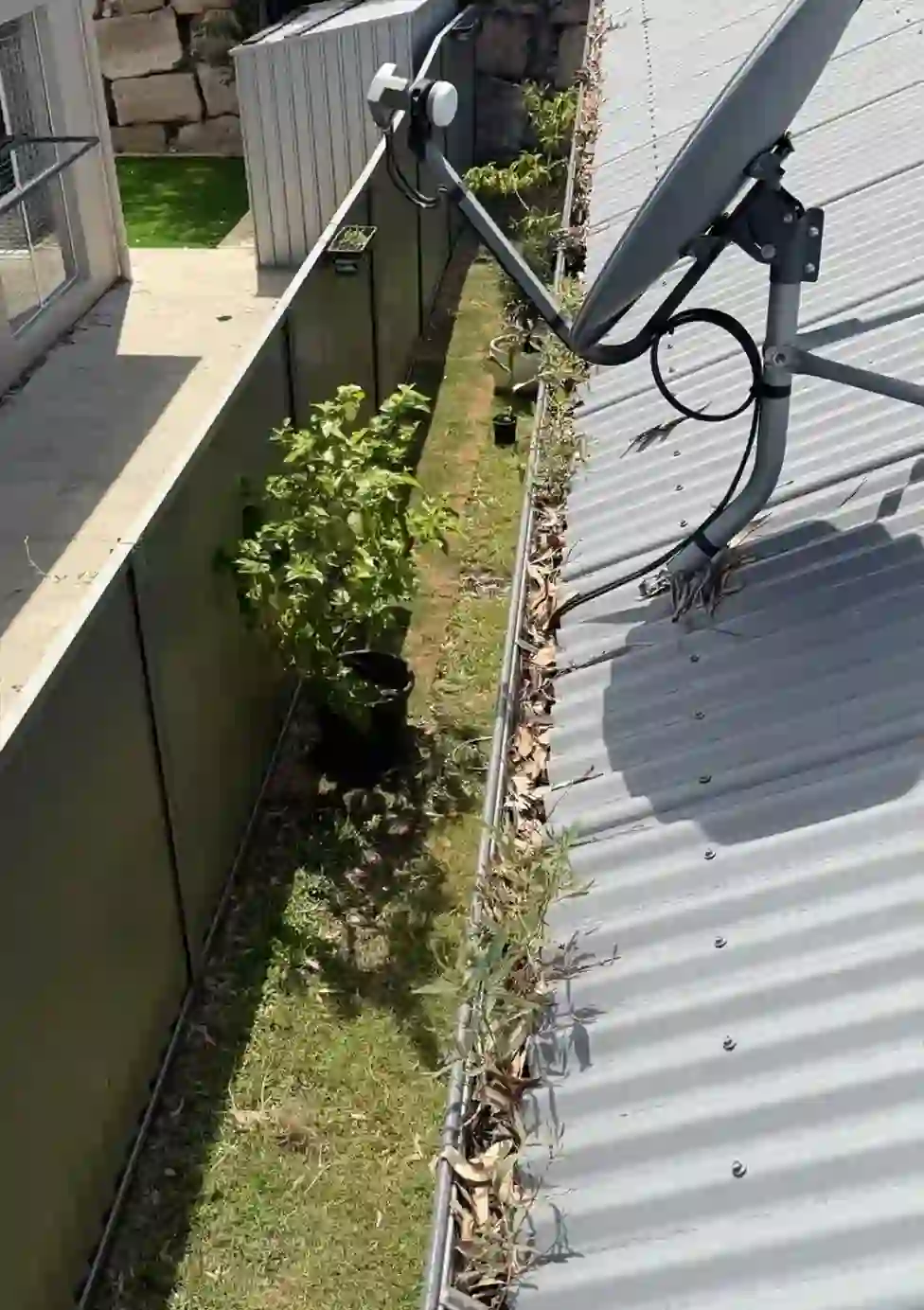 beef-2.webp beef-2.webp