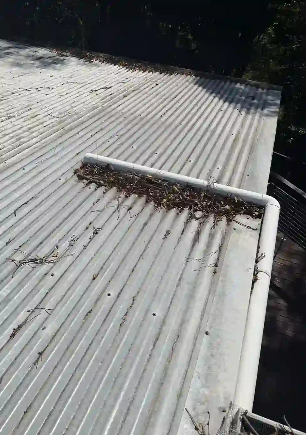 beef-3.webp beef-3.webp